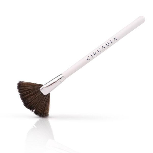 Brush Large Fan Brush