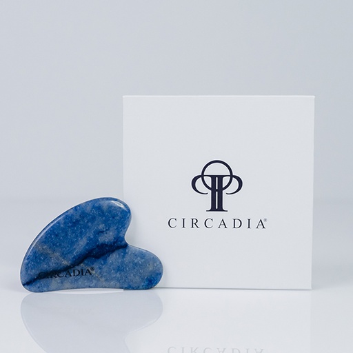 BlueGuaShaSet Blue Adventurine Gua Sha